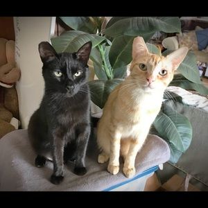 Meet your Posher, Arlene